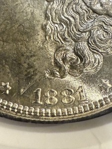 1881-S MORGAN DOLLAR NGC MS65 DDO “1881”
