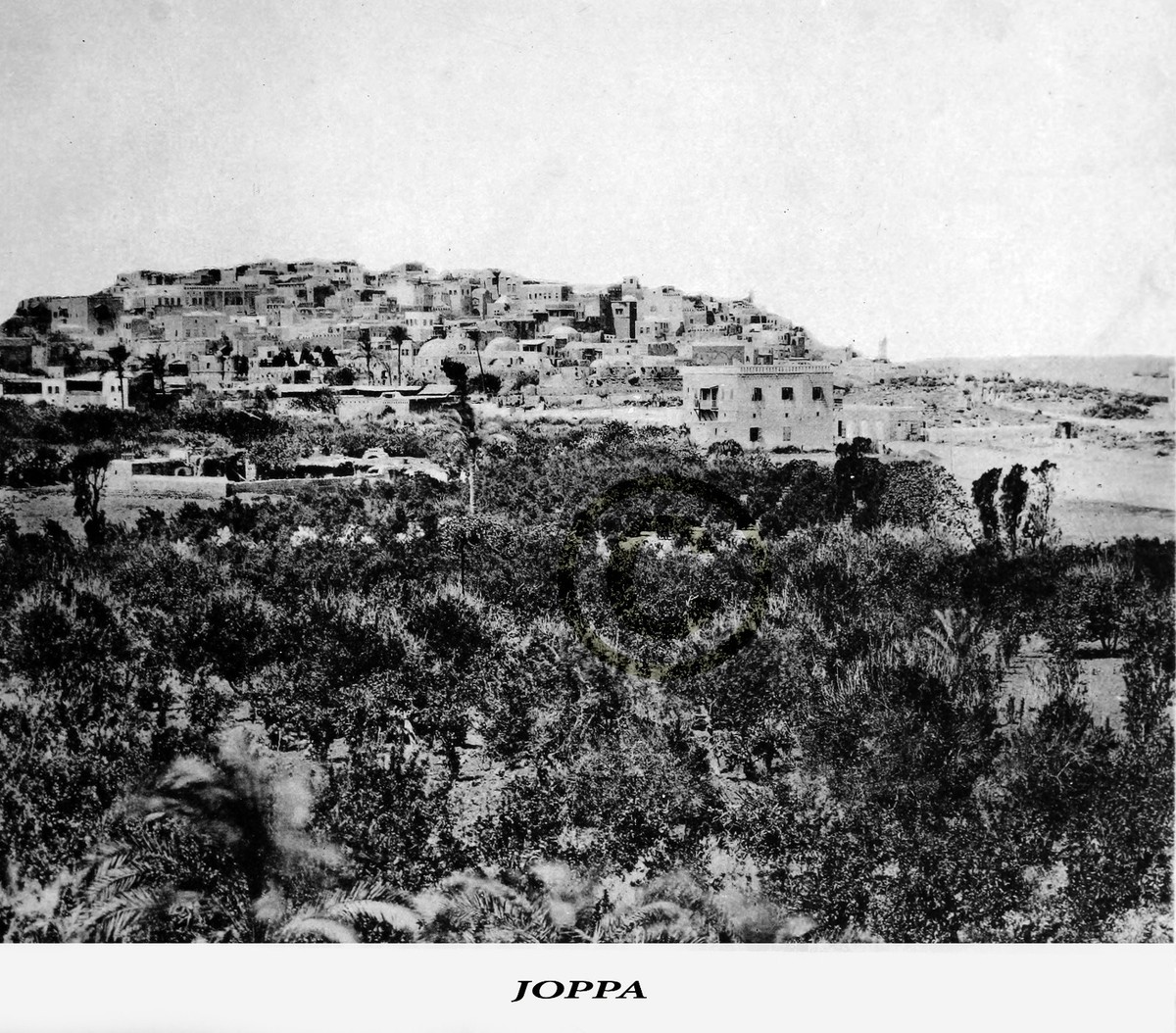 Holy Land JOPPA in 1891 Reprint On Professional inkjet Glossy
