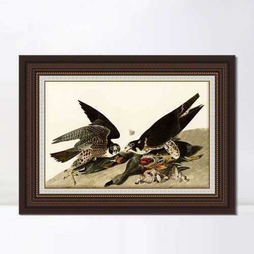Lienzo enmarcado impresión de giclee gran halcón con patas por John James Audubon decoración del hogar - Imagen 13 de 13