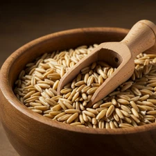 Oat Seeds for Planting Non-GMO Crop Seed Grains - Grown in USA - Free Shipping