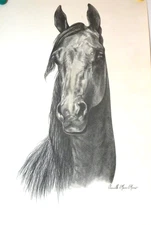 #2077  ASB AMERICAN SADDLEBRED  LITHOGRAPH LIMITED EDITION OF 500 .  12X18