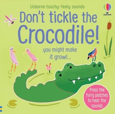 Dont Tickle the Crocodile! Hardcover Sam Taplin