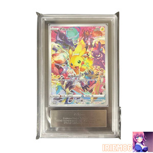 Pikachu 323 | eBay