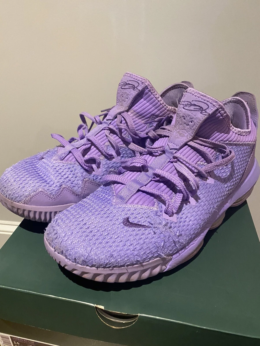 Lebron XVI Low Atomic Violet Court Purple eBay