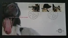 1998 NETHERLANDS NEDERLAND ANIMALS DOGS CATS PETS NR 392 FDC