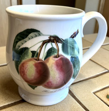 PORTMEIRION POMONA RARE BRISTOL MUG PRINCESS OF ORANGE PEAR APPEARS UNUSED