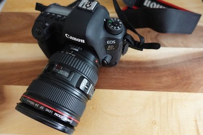 Canon EOS 6D Mark II with EF 24-105mm f/4L IS USM