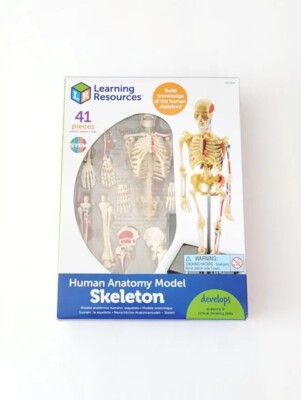 Learning Resources STEM Human Anatomy Skeleton 9.2'' Tall Realistic Model ~ 41 Pc