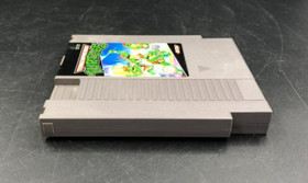 Teenage Mutant Ninja Turtles TMNT (Nintendo NES) in Box w/ Manual + Protector