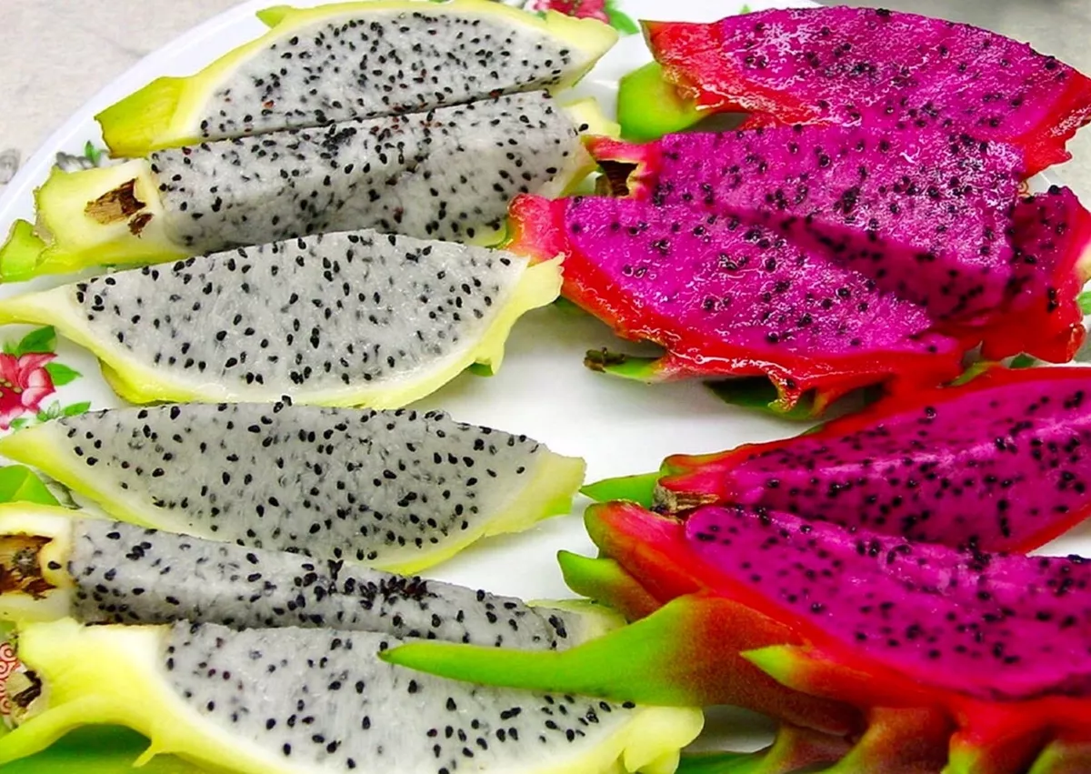 Dragon Fruit, Tropical & Specialty