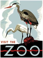2614.Visit the Zoo vintage Poster.Cranes.Birds.Nature classroom Decorative Art.
