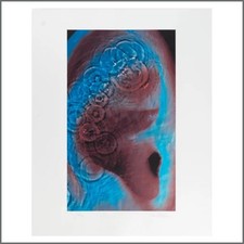 Pink Floyd Meddle Limited Edition 2001 Print Signed By Storm Thorgerson (UK)