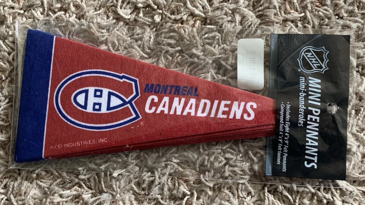 Fanion Hockey Sur Glace – Red Eagles – Hollande – Wimpel Banderin – Occasion
