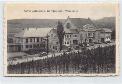 Luxembourg - WELLENSTEIN - Caves Coopératives des Vignerons - Ed. Sterba