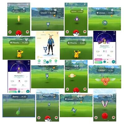 Pokémon GO Safari Zone: Goyang