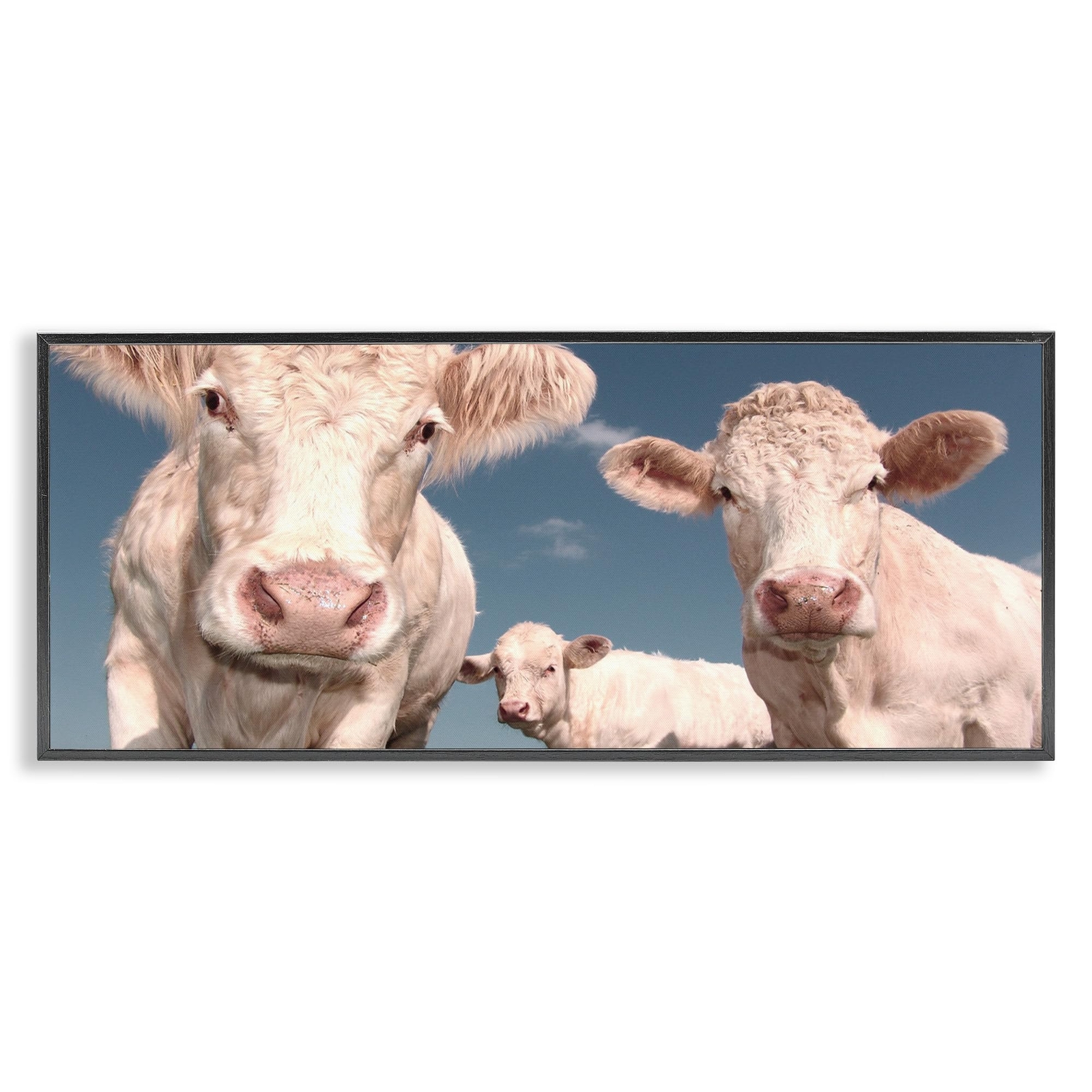 Three White Cows Framed Giclee Art by Marcus