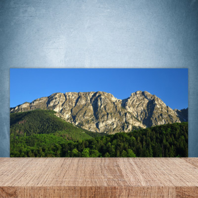 Küchenrückwand aus Glas 100x50cm ESG Spritzschutz Gebirge Wald Natur