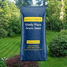 Grass Seed for Shady Areas Shady Lawn Seed (1 x 2kg) 14.30 per kilo