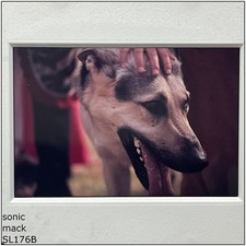 #10 35mm Film Slide (SL176B)