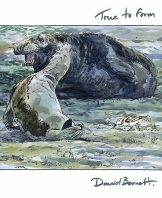 True to Form: v. 21 (Wildlife Art Se..., Bennett, David