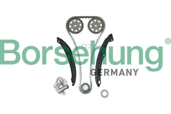 NEU - Borsehung B16296 Steuerkettensatz FüR Seat Skoda VW-image