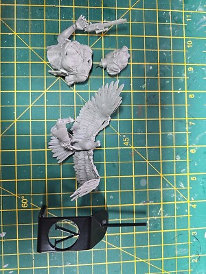 Scale75 - Jessica Thunderhawk - 1:12 Resin Bust Kickstarter Limited Edition