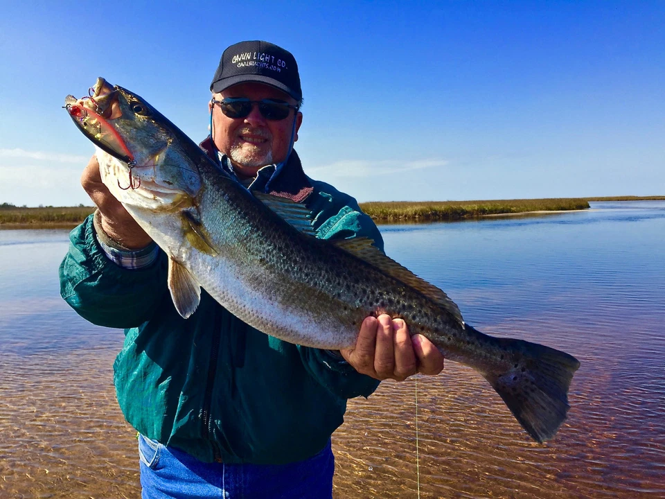 Pro-Cure 8 oz Super Gel Fishing Bait Fish...You Pick Scent...Qty Discount..NEW - Image 4 of 4