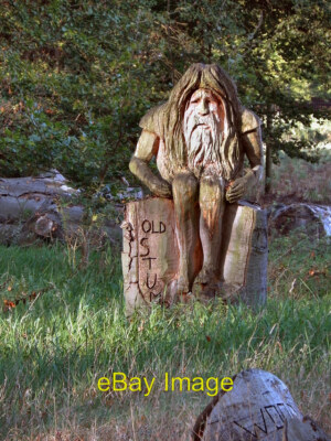 Photo 6x4 Dunham Park Old Stumpy ''Old Stumpy'' tree carving amongst the an c2011