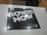 David Bowie Lp Now Rsd 2018 Versiegelt Exklusiv WeißEs Vinyl
