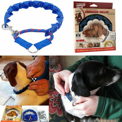 sullivan dog training collar
