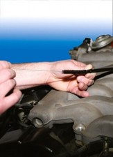 Long Thin Wire Brushes are 30cm long and include 4mm 6mm 11mm 16mm LL