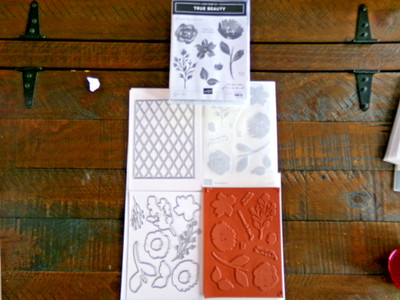 Stampin Up - True Beauty stamp and die cut set that is brand new