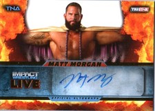 2013 Tristar TNA Impact Live Wrestling Cards 48