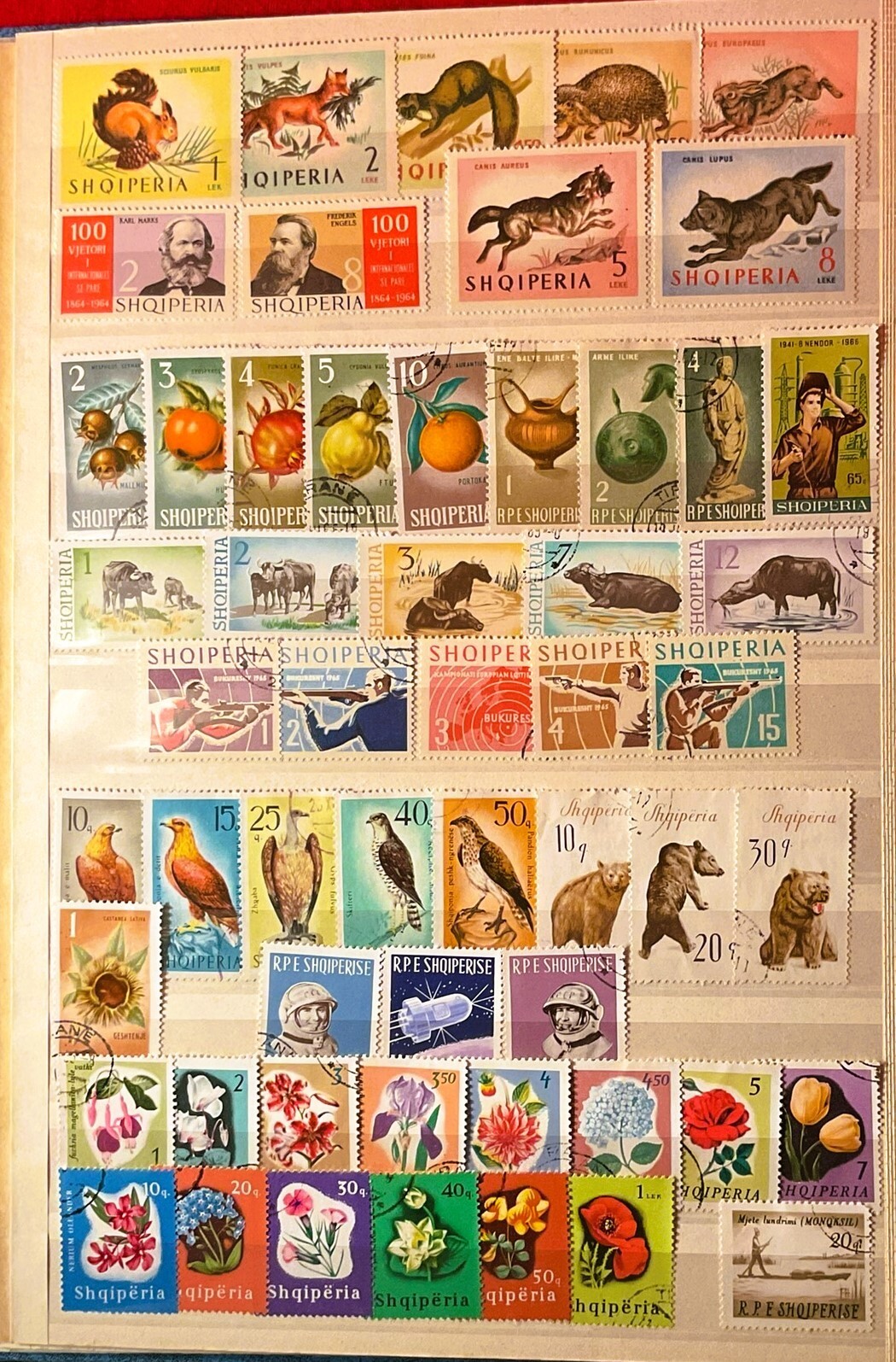 Picture 7 of 17