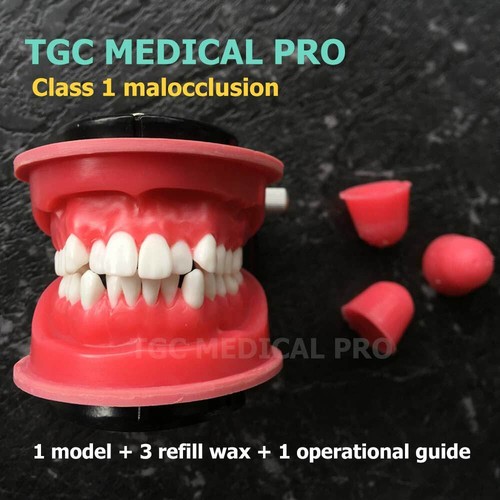 TGC MEDI PRO/Dental practical model/typodont/malocclusion Orthodontic