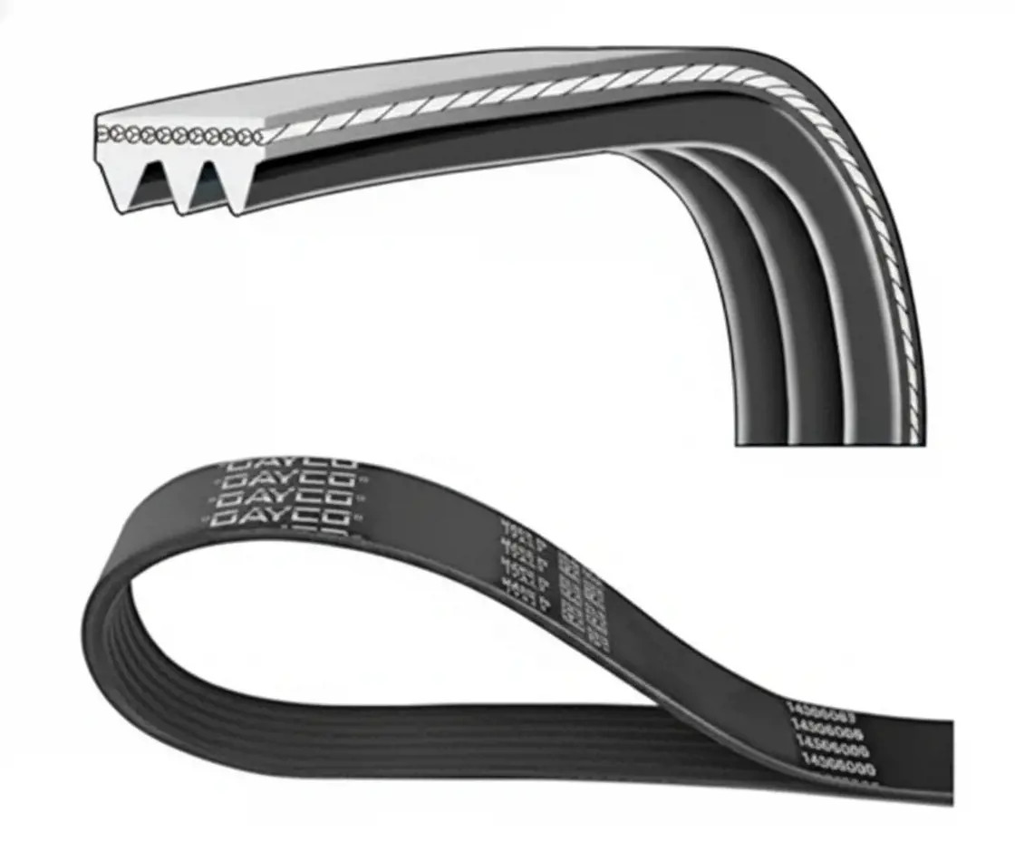 DAYCO 3PK800S Cinghia Poly-V - Immagine 2