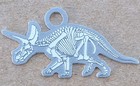 Dinosaur Skeleton Fossil Travel Tags/Geocoins Set of 4 - Activated & Adoptable — photo 6