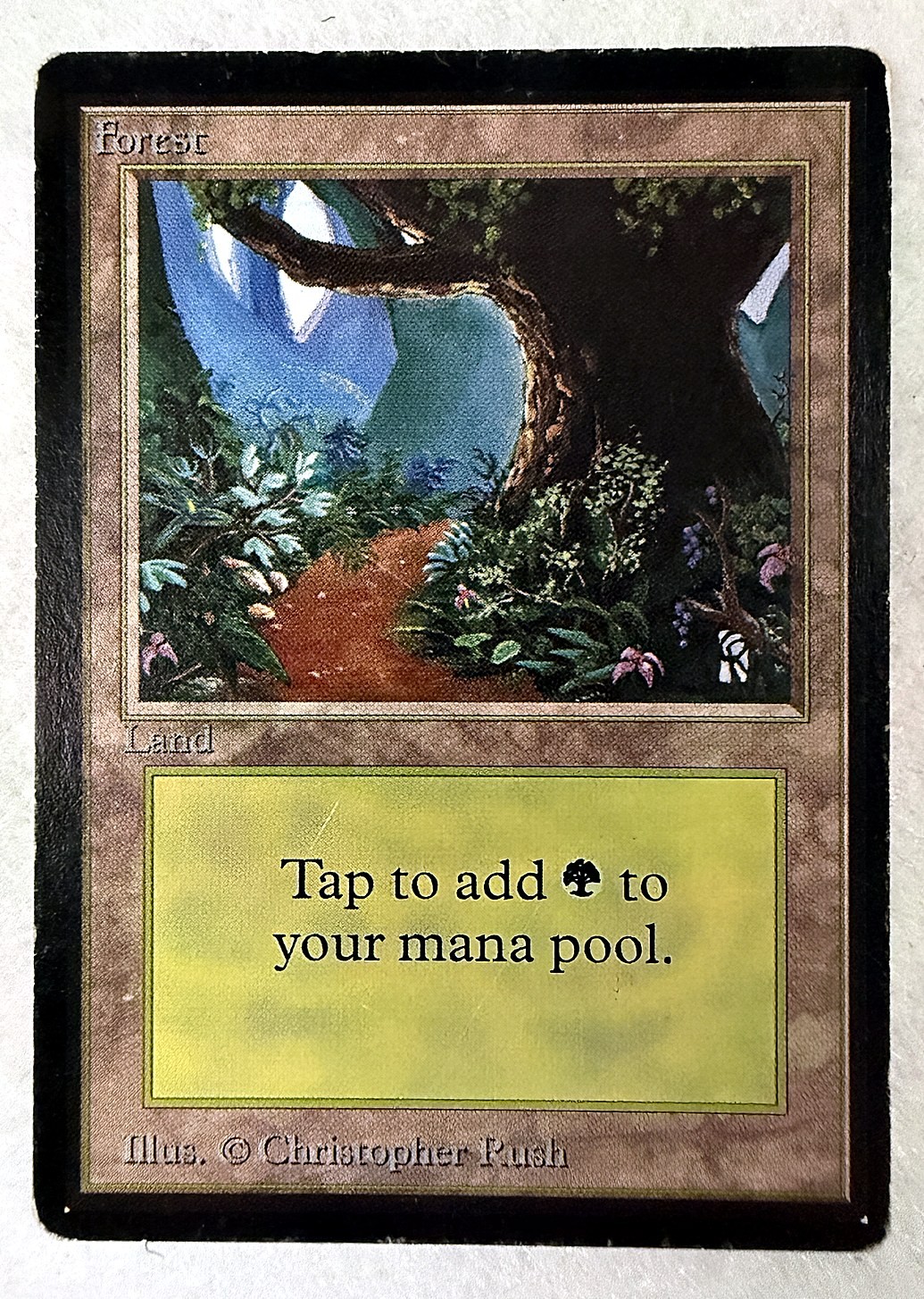 Forest Beta MTG 1993 Basic Land Black Border Magic the Gathering