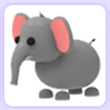 Summer Festival | Elephant | Adopt From Summer Festival | Elephant | Adopt From
