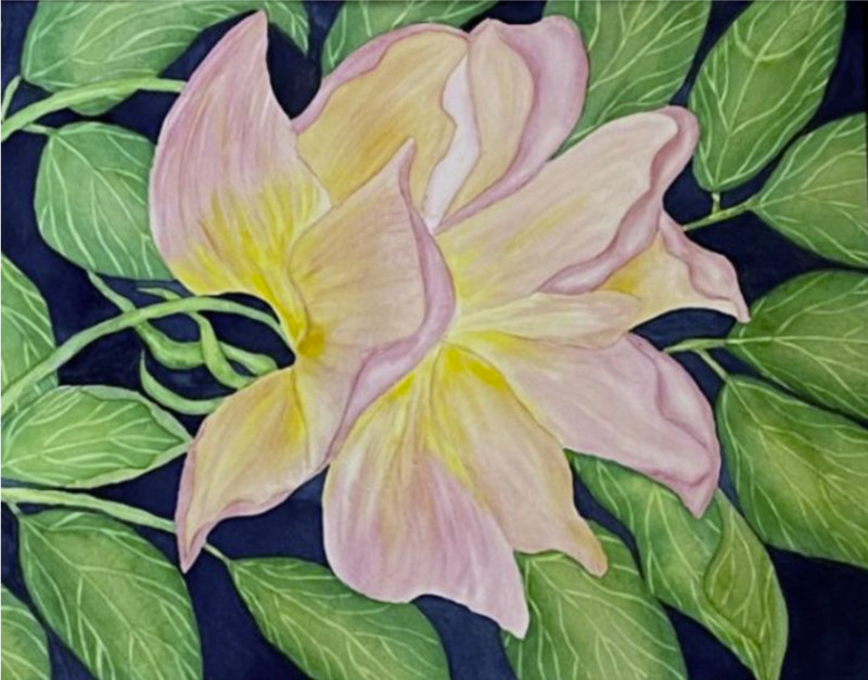 PAINTING WATERCOLOR 11X14 AND DOUBLE MAT 16X20 FLOWER ROSE PINK CORAL ORANGE