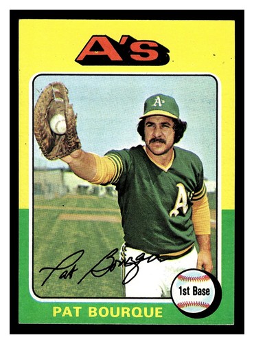 1975 Pat Bourque #502