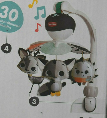 tiny love take along