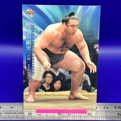 Tochinoshin Tsuyoshi 06 6 Sumo Wrestler Trading Card BBM 2019 TCG