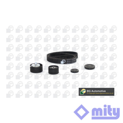 Fits Renault Megane Clio Scenic 1.4 1.6 Timing Cam Belt Kit Mity 130C17529R
