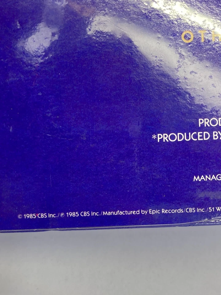 Luther Vandross The Night I Fell In Love Vinyl LP 1985 Epic Record 39882-S1 New - Image 3 of 4