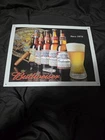 Vintage Budweiser Beer Tin Metal Sign Bottle Brewing History Since 1876- 16X12.5