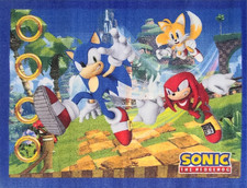 Sonic the Hedgehog Rug 40"x50"
