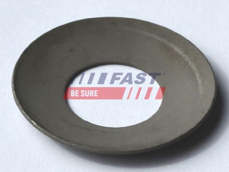 FAST FT62440 Packing Plate, drive shaft flange for IVECO