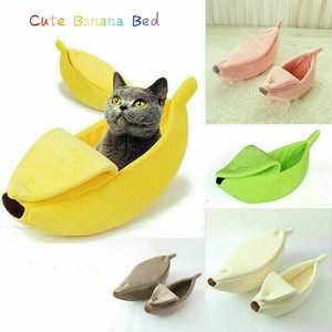 cute banana cat