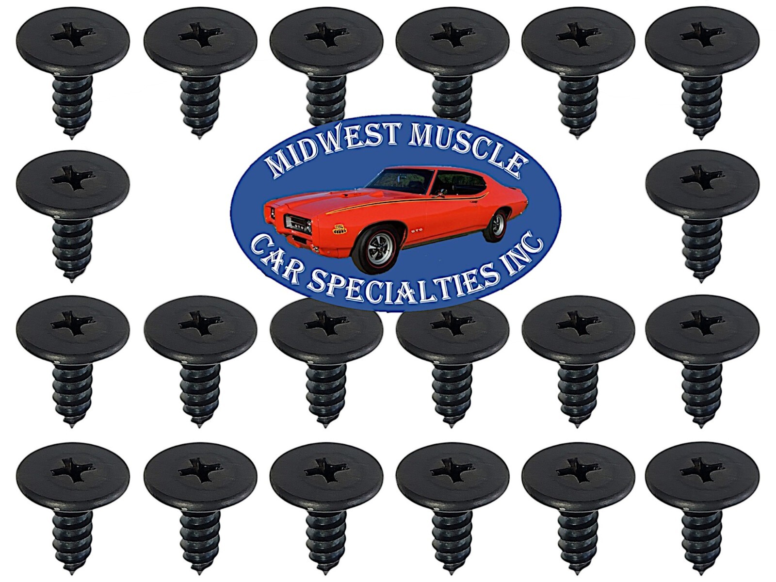 NOSR GM Convertible Roof Soft Top Boot Interior Well Window Trim Rail Screws 20p